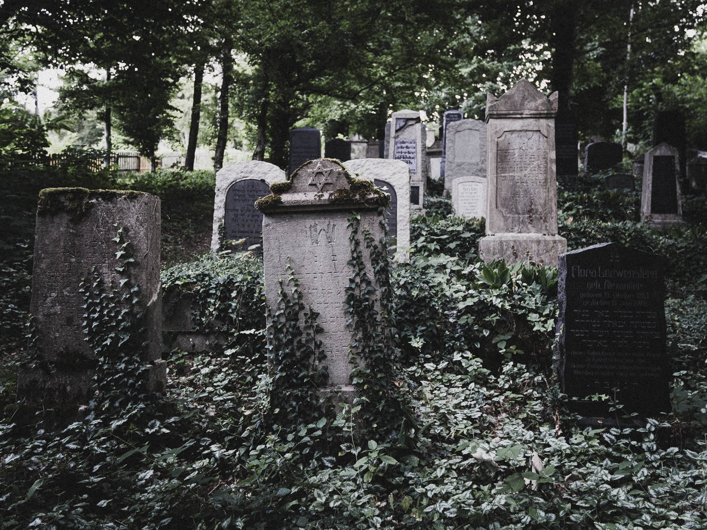 Bodenfeldem Jüdischer Friedhof